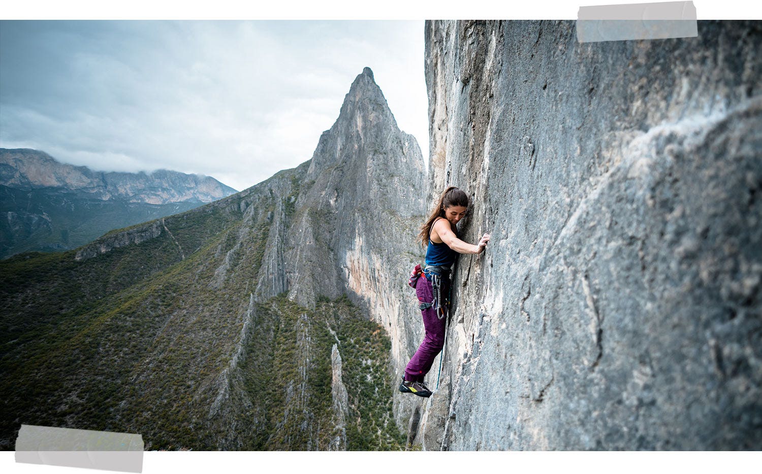 True Palisade Climber лестница