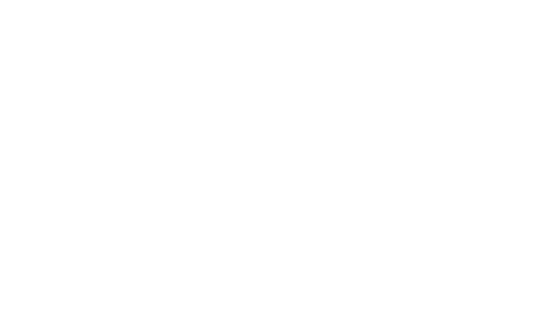 Lowe Alpine logo